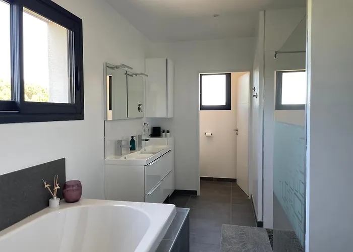 Artos - Piscine - 300 M2 Villa Carcassonne