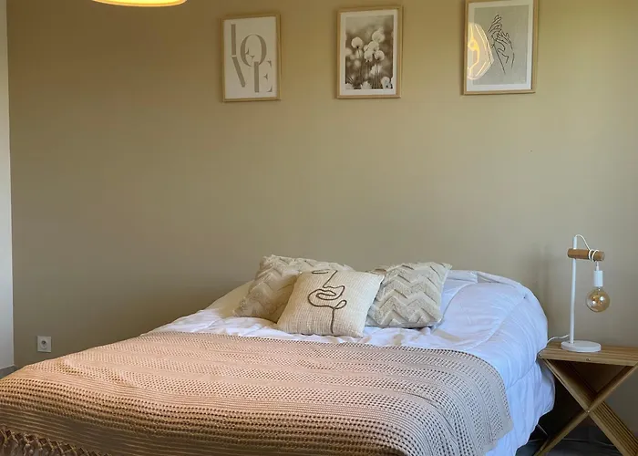 Artos - Piscine - 300 M2 Villa Carcassonne